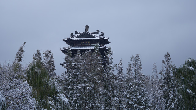 大明湖雪景