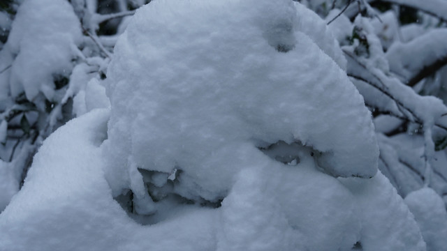 雪景