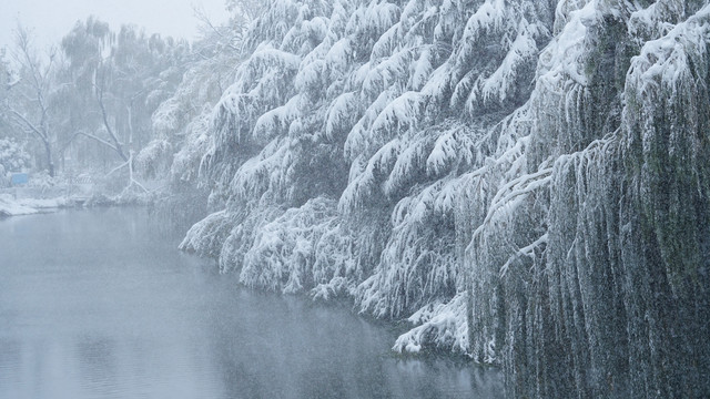 雪景