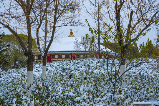 北京园博园鄂尔多斯园雪景