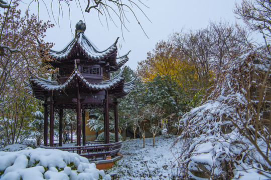 北京园博园南昌园雪景