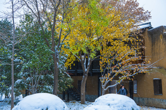 北京园博园南昌园雪景