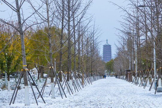 北京园博园雪景