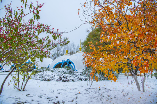 北京园博园呼和浩特园秋色雪景