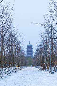 北京园博园雪景