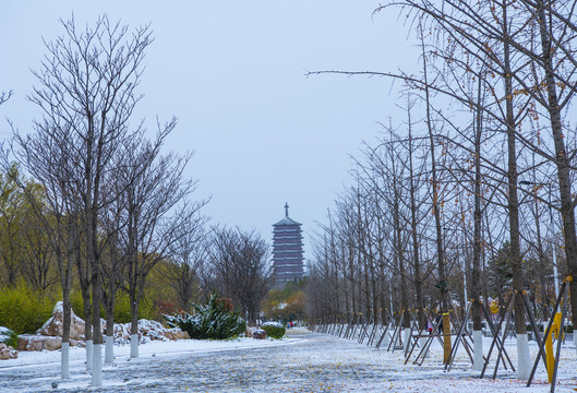 北京园博园雪景