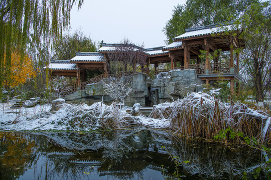 北京园博园重庆园雪景