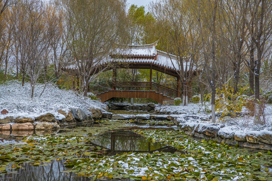 北京园博园闽园雪景