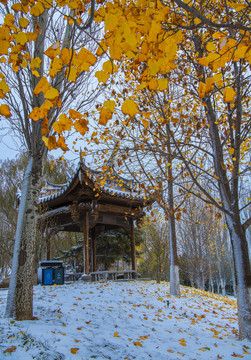 北京园博园闽园雪景