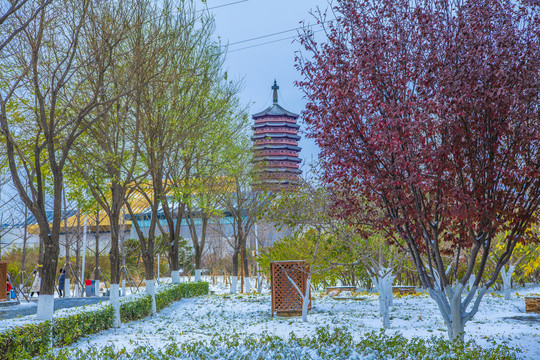 北京园博园雪景