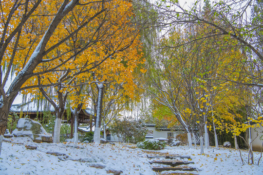 深秋秋色初冬雪景