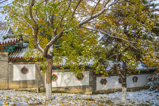 北京园博园北京园雪景