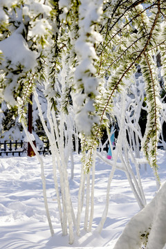 大明湖初雪后美景