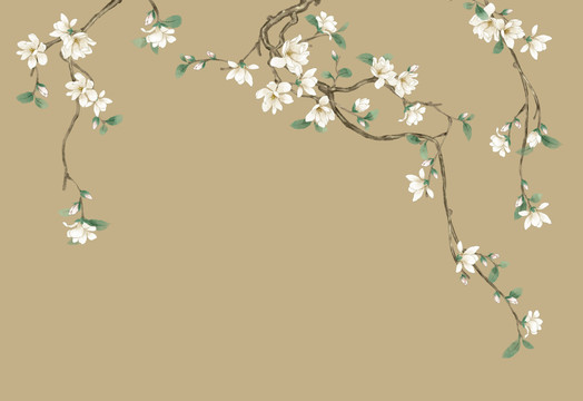 玉蘭花