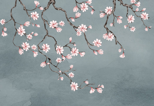 玉蘭花