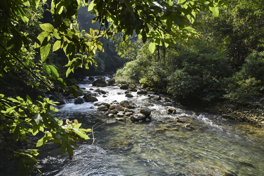 山涧溪流