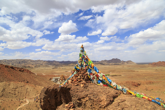 阿拉善左旗人根景区