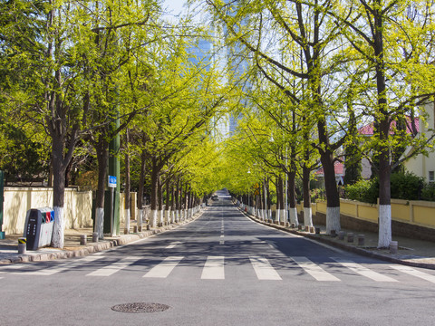 青岛街景