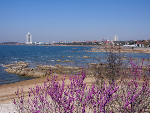 青岛海滨风光