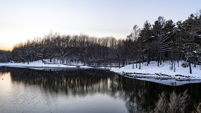 雪后的长春净月潭森林公园风景