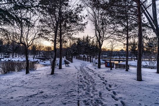 雪后的长春净月潭森林公园风景