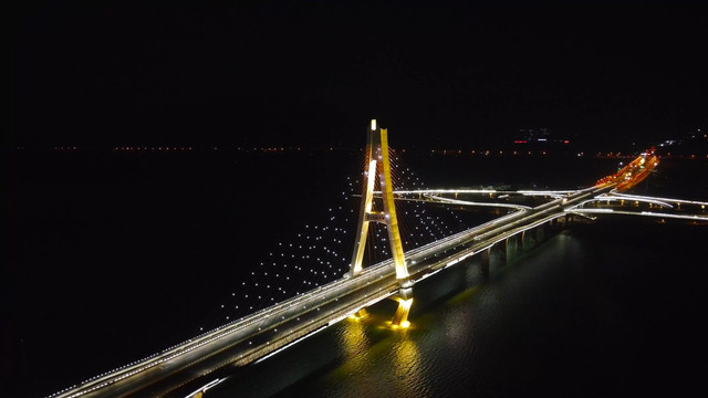 江西吉安市新井冈山大桥夜景