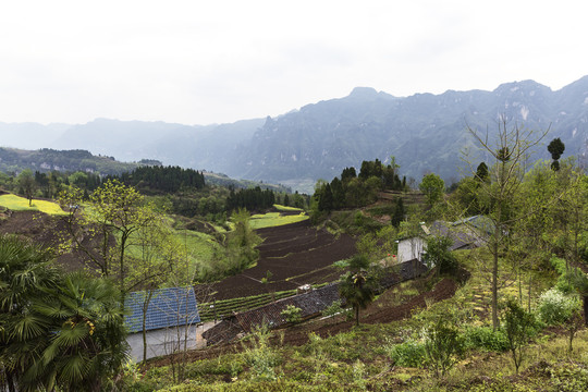 南方山区风光