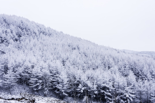 南方山区雪景