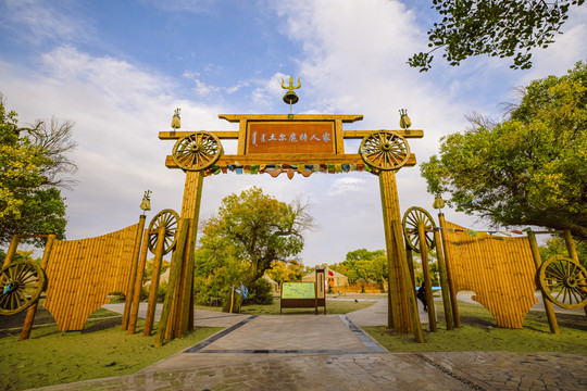 大漠胡楊林