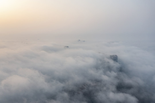 天津117大厦平流雾