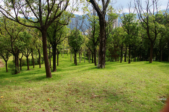 福州牛岗山公园