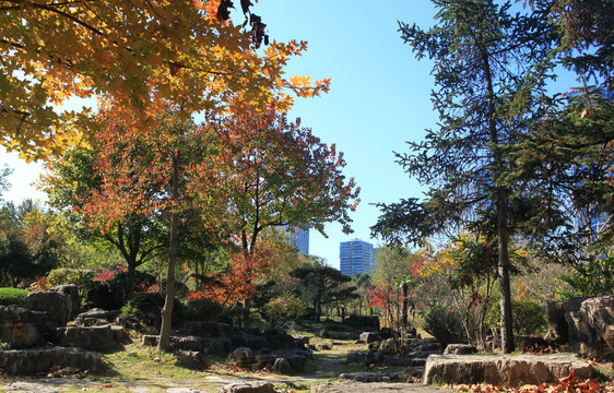 日照植物园