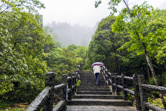 广西贺州姑婆山