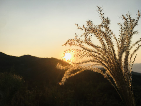 影珠山风光