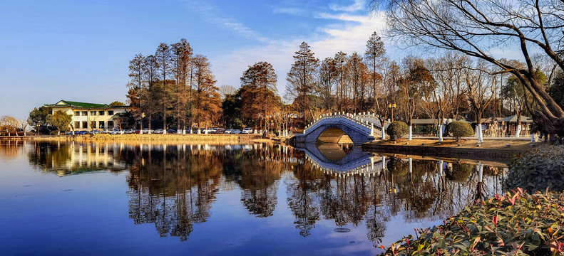 冬天武汉东湖美景