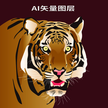老虎卡通手繪圖
