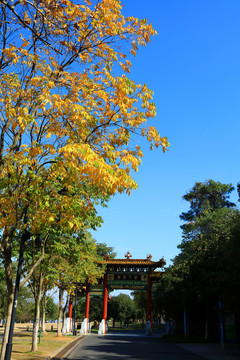 东湖磨山公园