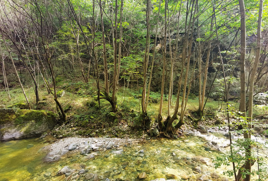 秦岭山涧小溪