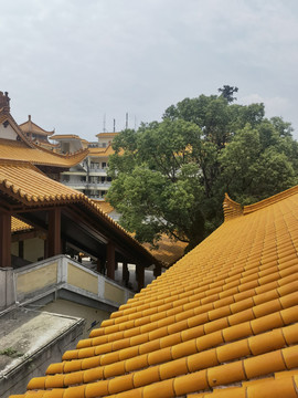 深圳弘法寺