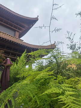 深圳弘法寺