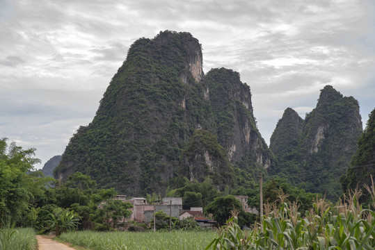 大山石山