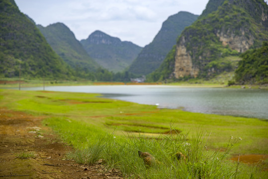 水库湖泊湖泊山水