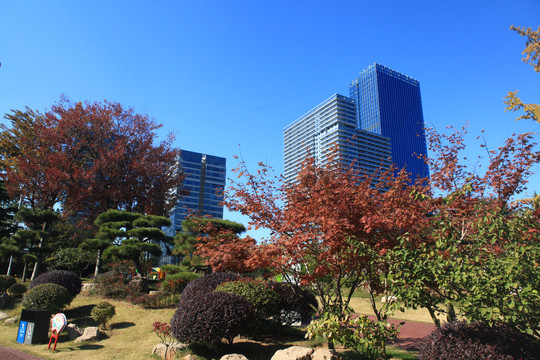 日照植物园秋景