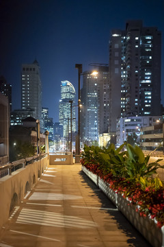 上海城市都市夜景