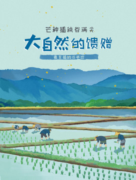 插秧勞作