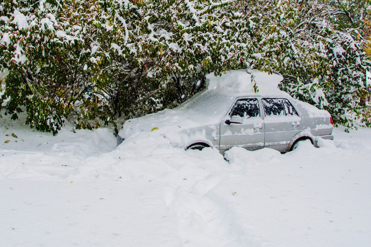 大雪覆盖的轿车与树枝雪挂雪地