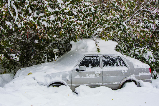 大雪覆盖的轿车与雪挂树枝雪地