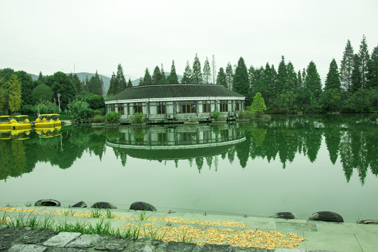 水塘风景2