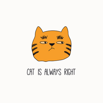 橘色猫咪傲慢表情插图