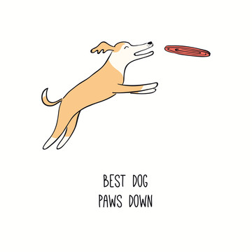 爱狗玩飞盘手绘插图